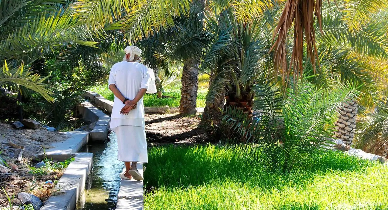 Réserver une visite des sommets et des oasis d