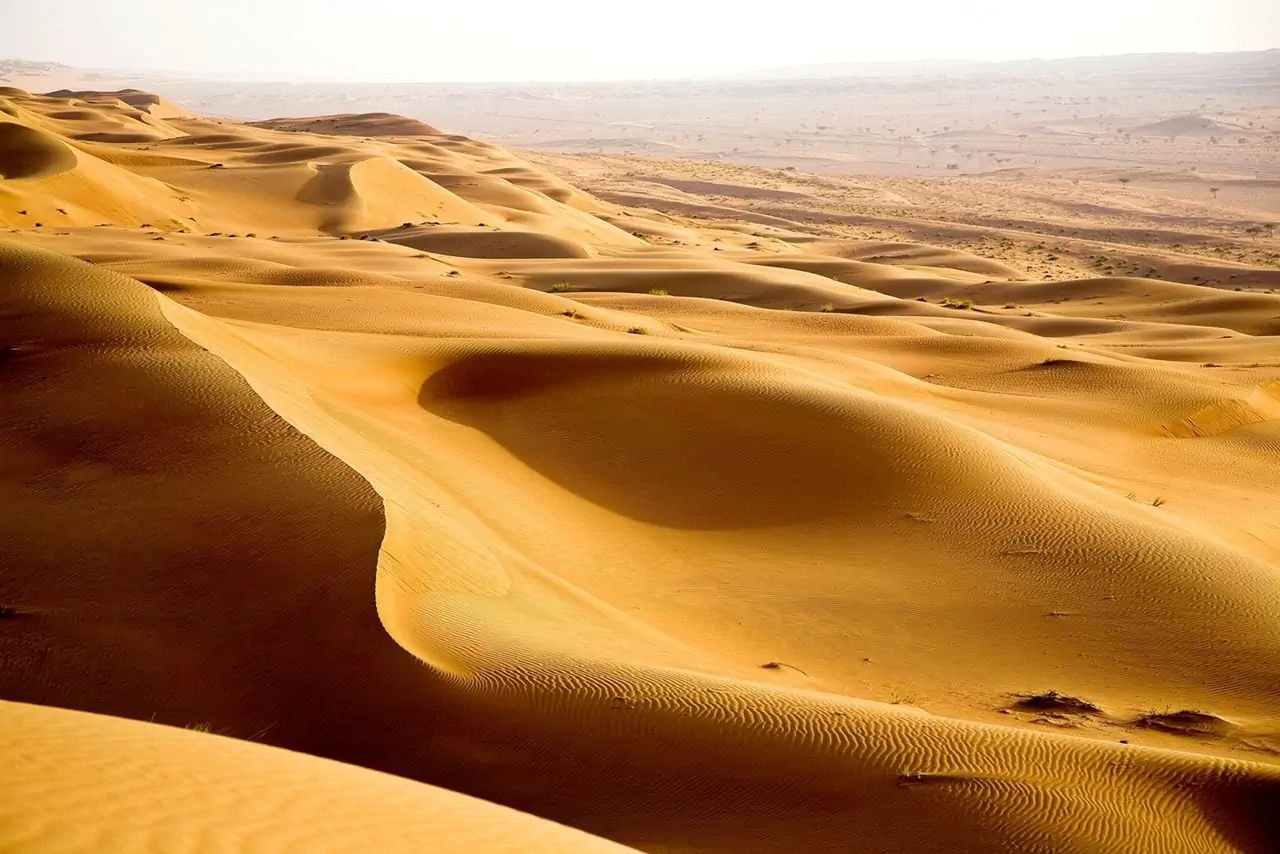 Reservar tour por el desierto y la playa en Omán