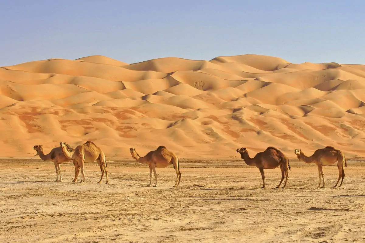 Mysterious city of Ubar and Rub Al Khali in Oman