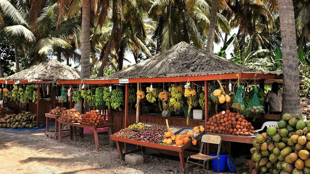 Visite de la ville de Salalah Oman