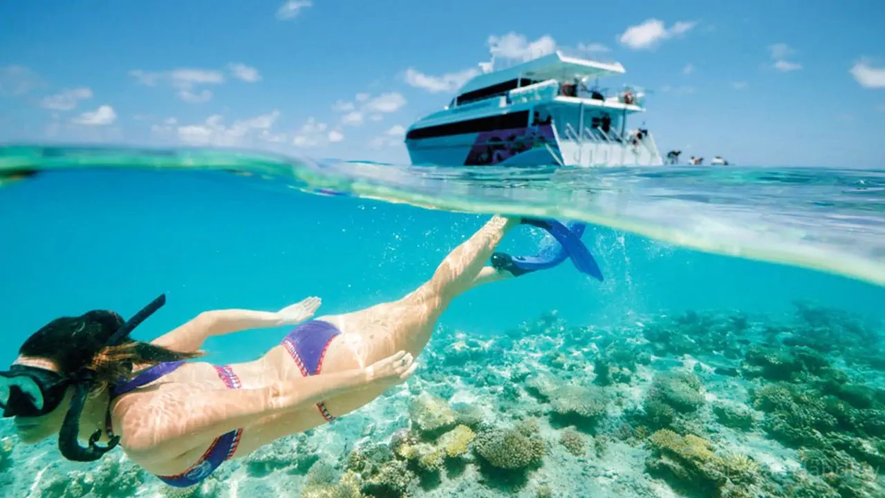 Réserver une croisière aux iles Dimaniyat Ã  Oman