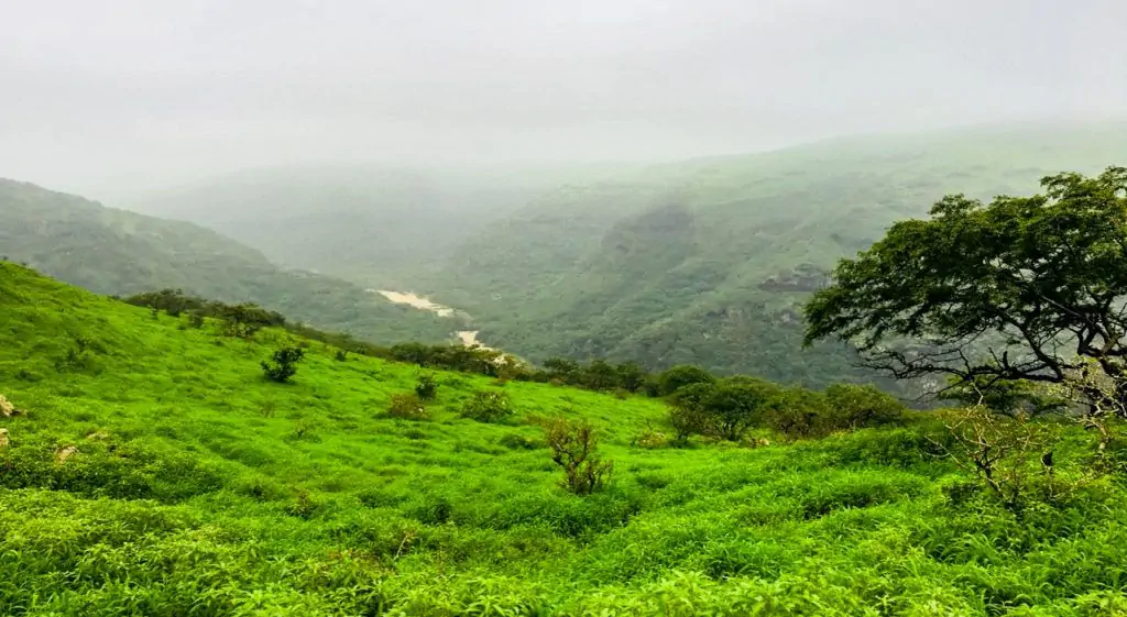 Book tour of the east of Salalah in Oman