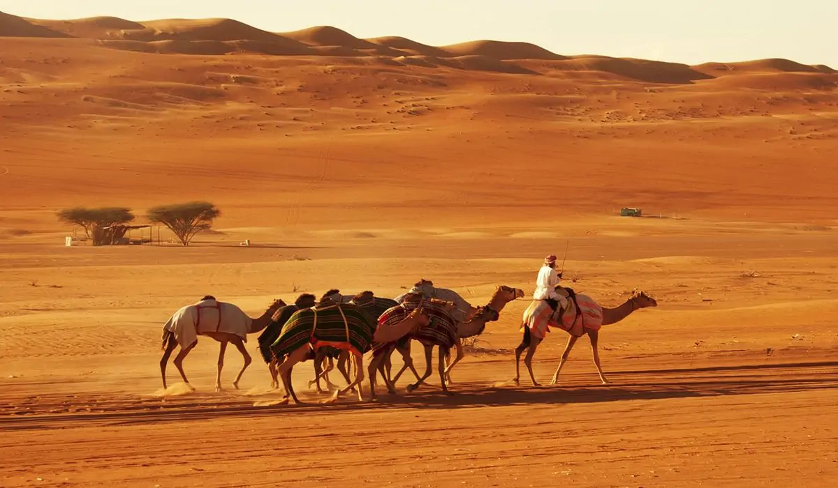 Deserto e dunas de Om