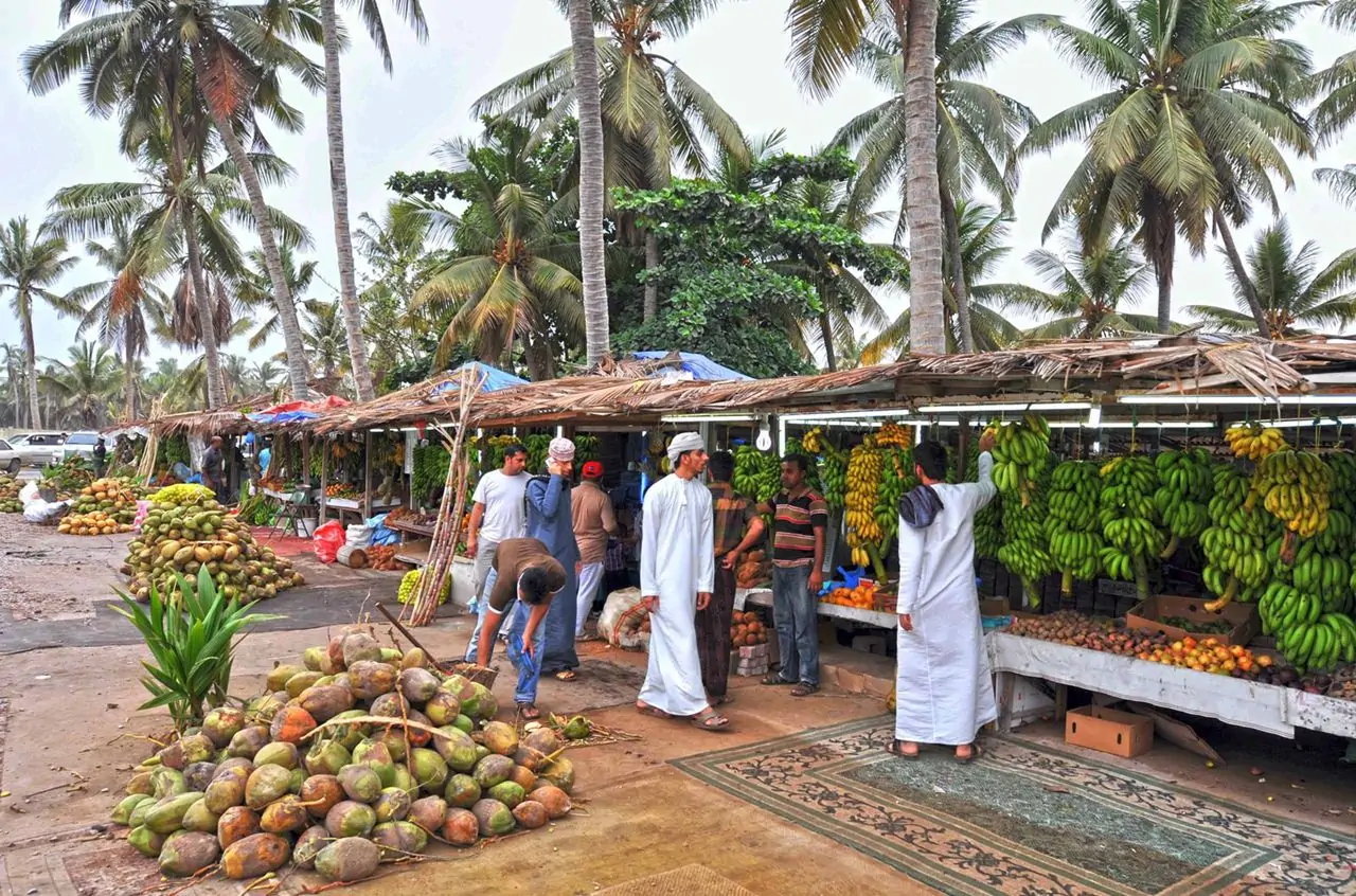 Book magics of Oman tour