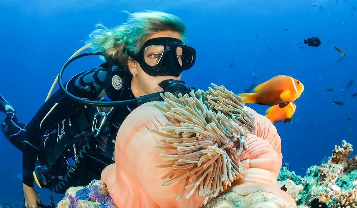 Réserver une croisière aux îles Dimaniyat à Oman