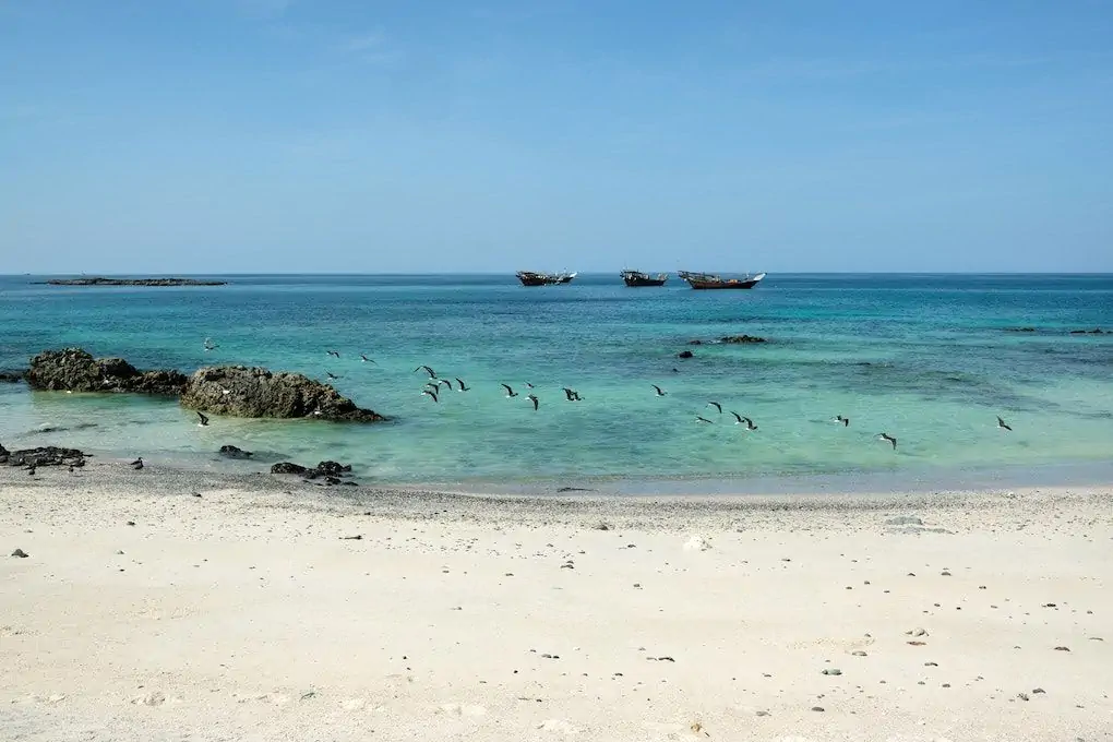 Réserver une visite au camp de plage vierge d