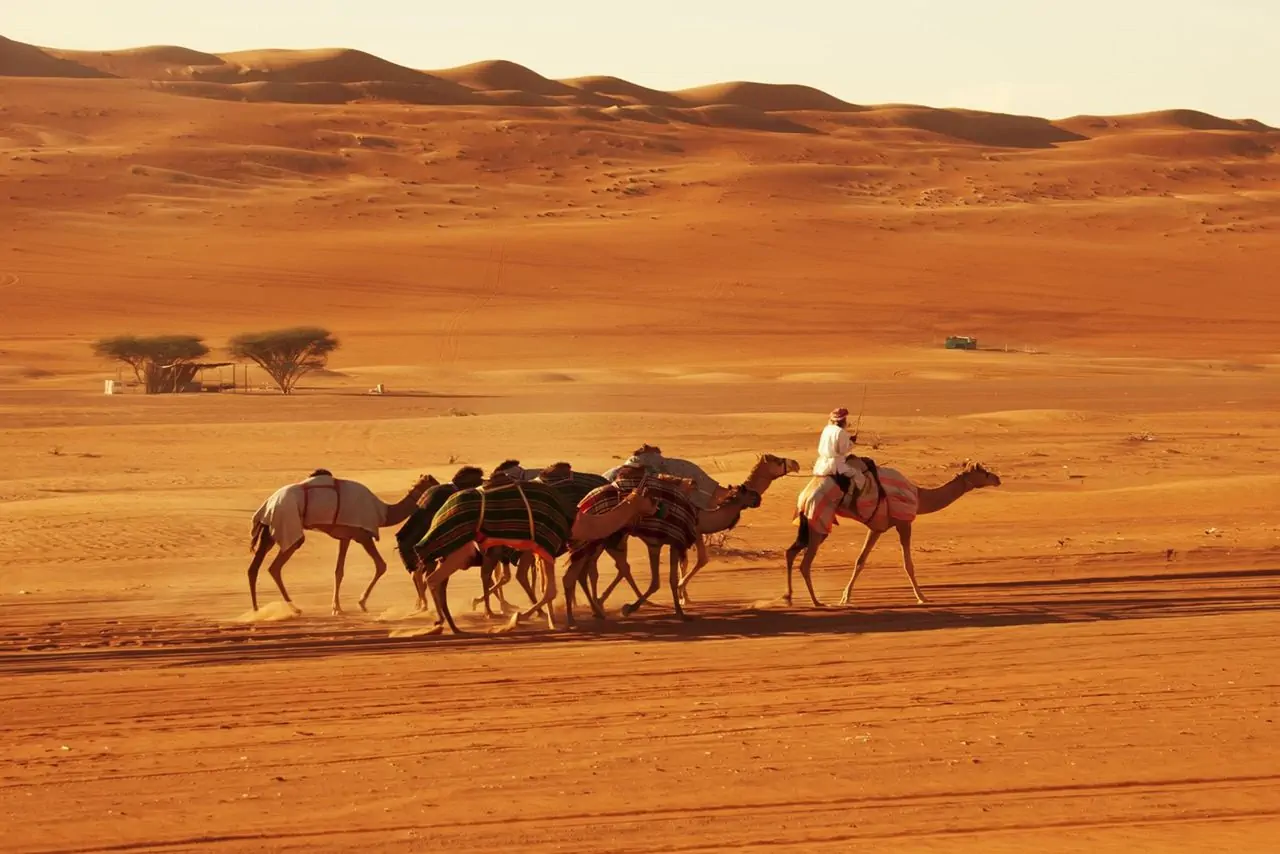Reserve a excursão The Treasure of Arabia em Omã