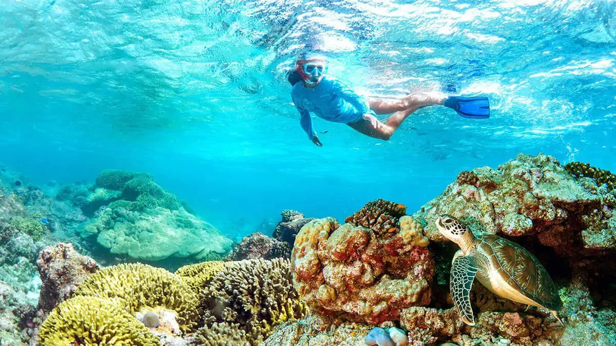 Réserver une croisière aux îles Dimaniyat à Oman