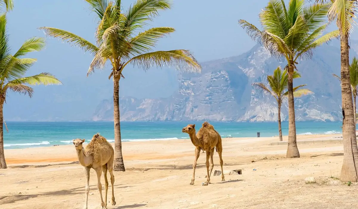 Reserve a excursão Omã virgin beach camp